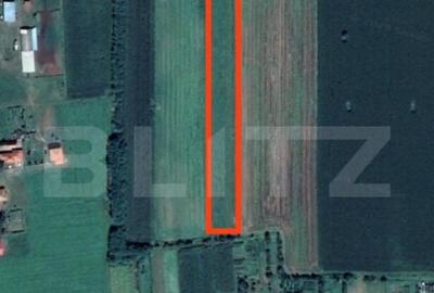 Teren cu nuci, 5.400mp, zona - Decebal, Comuna Veti? - 2