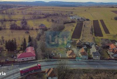 Spațiu comercial, în Păniceni - 5
