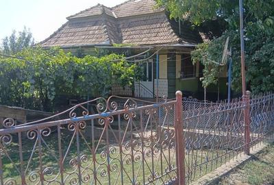 Casă cu 4 camere în Soporu de Câmpie - 7