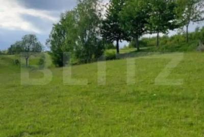 Teren de 4500 mp, în Ponor - 3