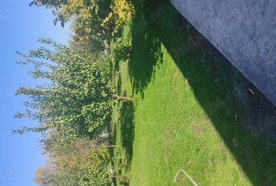 Casa tip vila p+ m ?i garaj - 5