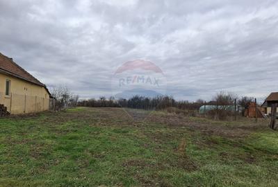 Teren Construcții intravilan de 1241 mp, în Frumușeni - 4