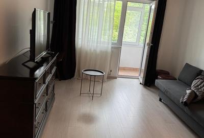 Apartament cu 2 camere mobilat, inchiriat,Tatarasi-Scoala 4 Cod oferta 160286 - 11