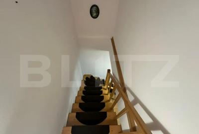 Apartament cu 3 camere decomandat în Tolstoi - 3