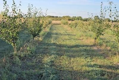 Casă cu 3 camere în Exterior Vest - 7