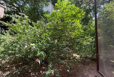 Apartament 2 Camere Teiul Doamnei Lacul Tei - 3