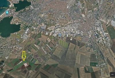 Teren intravilan – 13125mp – pe varianta orașului Ovidiu - 3