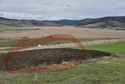 Spațiu comercial, în Sic - 1