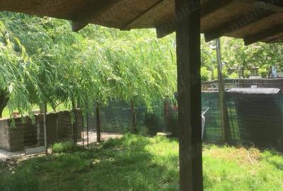 Casă cu 3 camere cu Teren 1748 Mp în Checea - 1