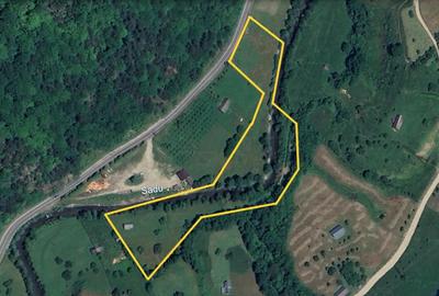 Teren Construcții intravilan de 7614 mp, în Râu Sadului - 1