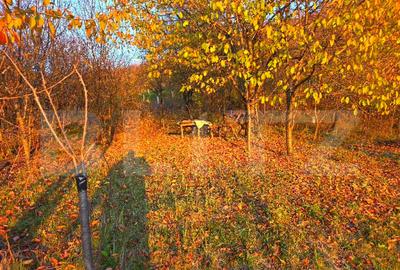 Teren cu vedere panoramica, 32 m deschidere la strada - 5