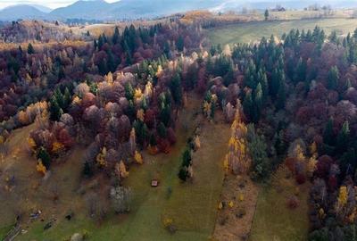 FILM! Teren intravilan spectaculos,1.000 mp,Moieciu,panorama 180 grade,potential - 5