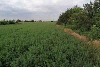 Teren de 7444 mp, în Tătăranu - 2