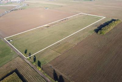 Proiect Rasnov Teren Intravilan, 45 de loturi- Investitie! Proiect Rasnov Teren Intravilan, 45 de loturi- Investitie! - 6