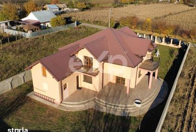 Casă cu 5 camere cu Teren 1019 Mp în Bistrița Lac - 14