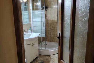 Casă cu 2 camere cu Teren 3103 Mp în Leșnic - 10