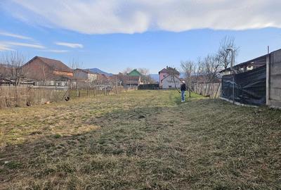 Casă cu Teren 1400 Mp în Mihai Eminescu - 4