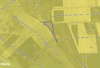 Teren de 5800 mp, în Unirea