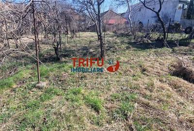 Casă cu 3 camere cu Teren 755 Mp în Central - 3