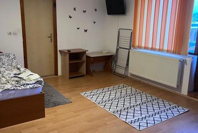 Garsonieră decomandată în Drumul Carului - 3