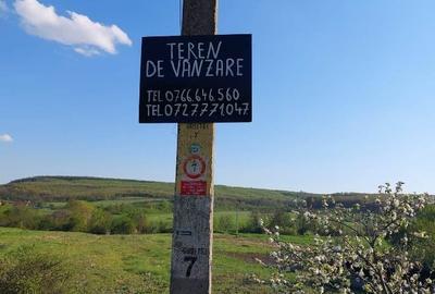 Teren de 4296 mp, în Gura Șușiței - 6
