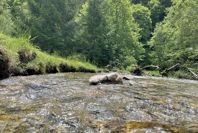 Spațiu comercial, în Poiana Mărului - 3