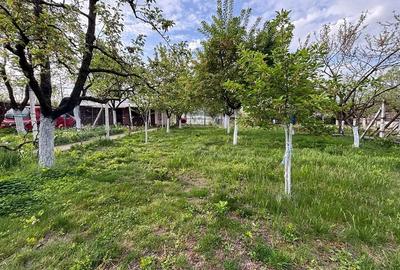 Casă cu 3 camere cu Canalizare în Rogova - 2