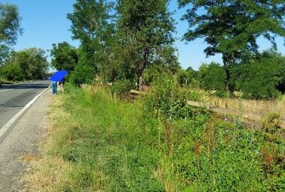 TEREN INTRAVILAN ZĂVOI\ZONA VALEA BISTREI, JUD.C-S - 7