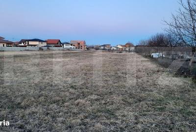 Teren de 515 mp, în Torontalului