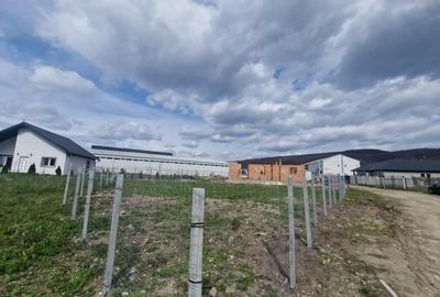 Teren Intravilan 464mp , spre vanzare in centru in  Talmaciu - 3