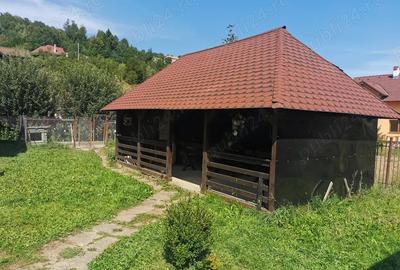 Casa de vanzare, oras Zarnesti, judet Brasov - 2