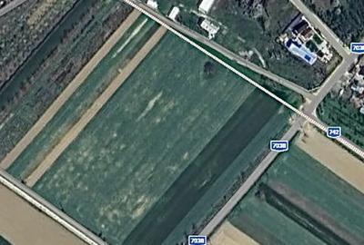 Teren de 4000 mp, în Leordeni - 2