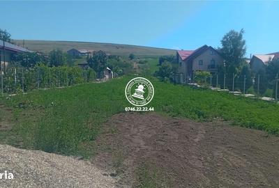 Teren de 4467 mp, în Lețcani - 3