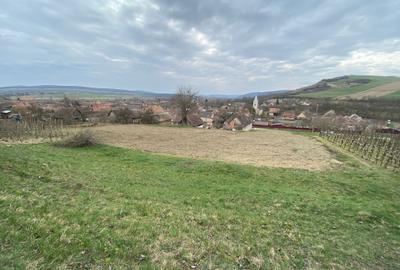 Casă cu 3 camere în Adămuș - 3