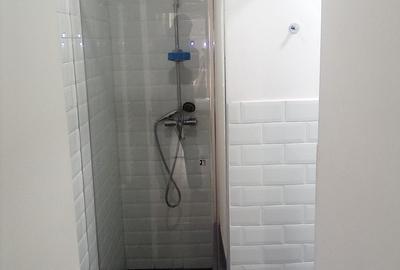 Apartament cu 2 camere semidecomandat în Armeneasca - 8