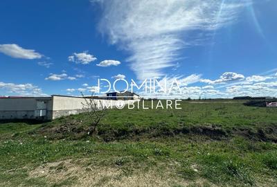 Teren Construcții intravilan de 10339 mp, în Centura Narciselor - 5