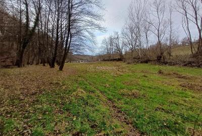 Resita, Teren Drept Intravilan, Langa Prau si Drum, Parcelabil, 4500 Mp., 15 Euro Mp., Renk - 13