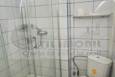 Apartament 1 camera Centru Civic - 390 euro - 6