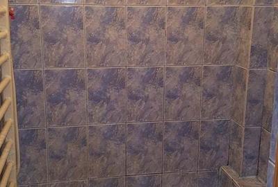 Garsonieră decomandată în Blașcovici - 1