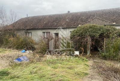 Casă cu 4 camere cu Teren 1509 Mp în Ghiroda - 3