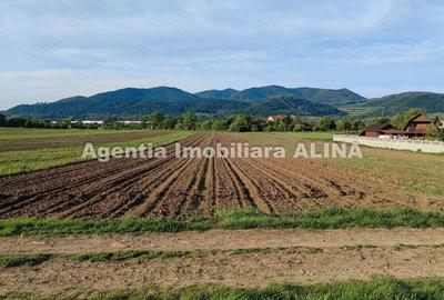 Teren de 4094 mp, în Central - 2