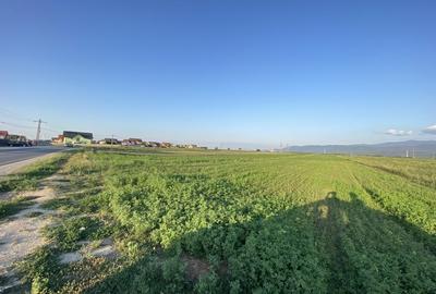 Teren extravilan de vanzare -5750 mp- deschidere la DJ 112B- Intrarea in Vulcan - 1