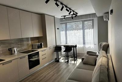 Garsonieră în Pantelimon - 1