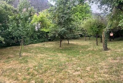 TEREN 1600MP CU CASA 5 CAMERE, SCHEII BRASOVULUI - 9