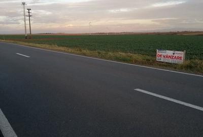 Teren de 15000 mp, în Topolovățu Mare - 5