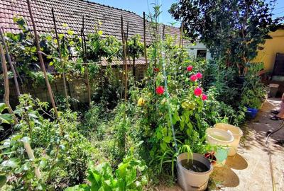 Casă individuală cu 3 camere cu Canalizare în Dâmbul Rotund - 13