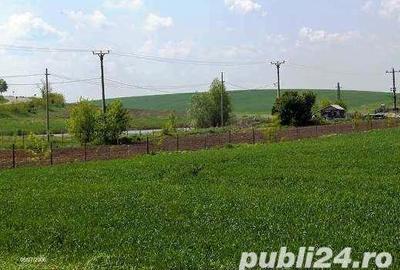 Teren de 45000 mp, în Central - 5