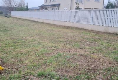 Spațiu comercial, în Vernești - 10