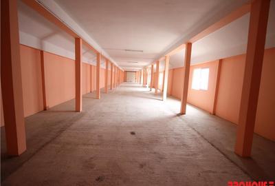 Hala 400mp - acces TIR - 2