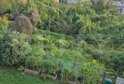 Casă cu 3 camere cu Teren 262 Mp în Platou - 12